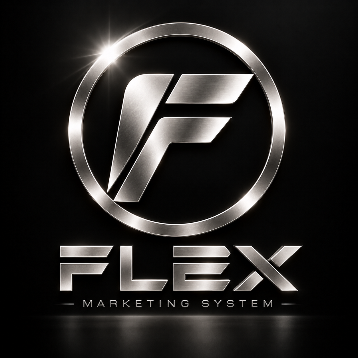 FLEX MARKETING SYSTEM